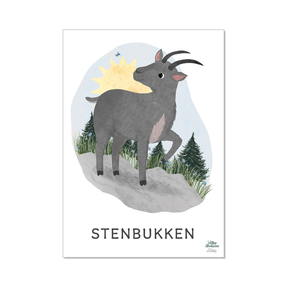 Image of EVRLILY Stjernetegn - stenbukken (f487b264-eb3d-4d40-beb3-60363cbaee9c)